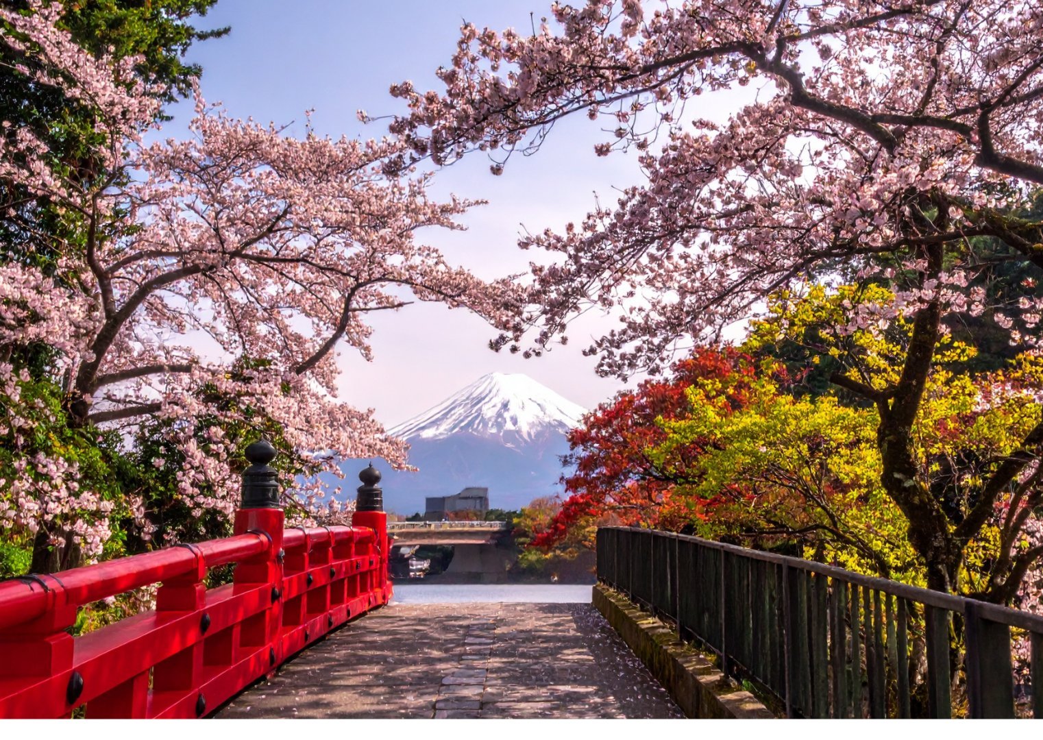 Tokyo + Mt.Fuji + Osaka, Japan