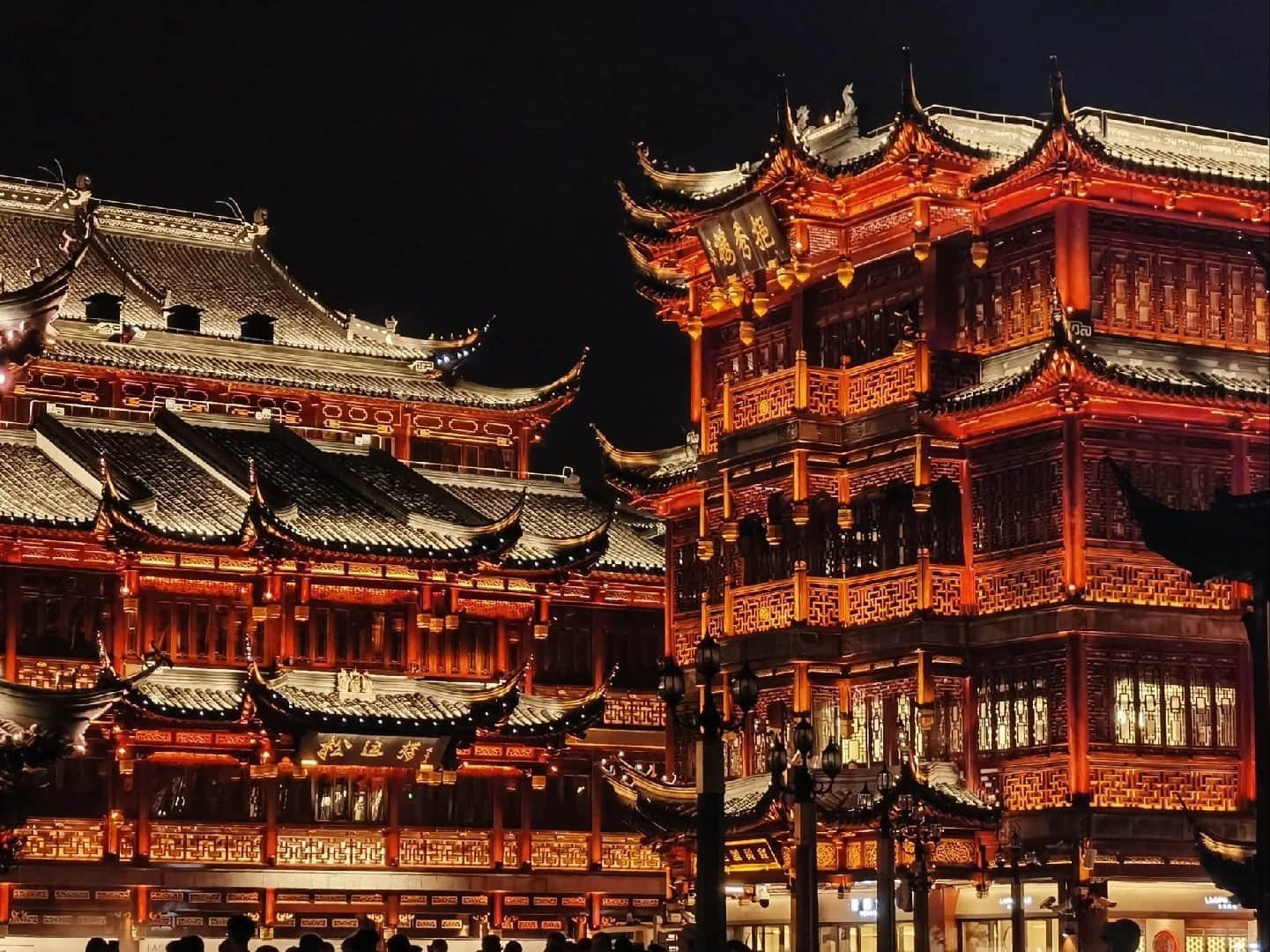 Adora Cruise (China+Korea)