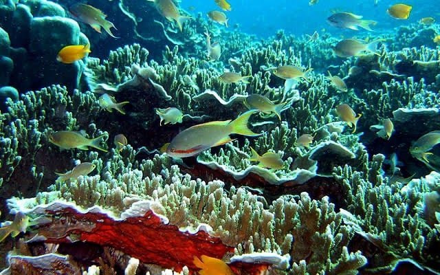 Coron Palawan, Philippines