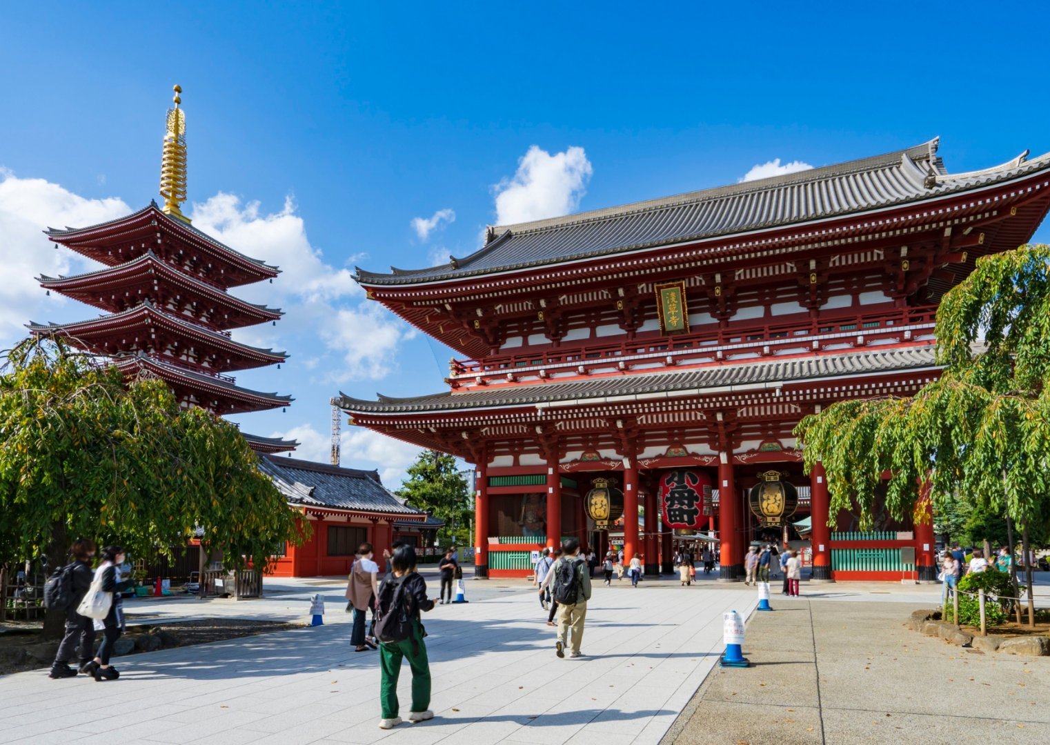 Tokyo + Mt.Fuji + Osaka, Japan