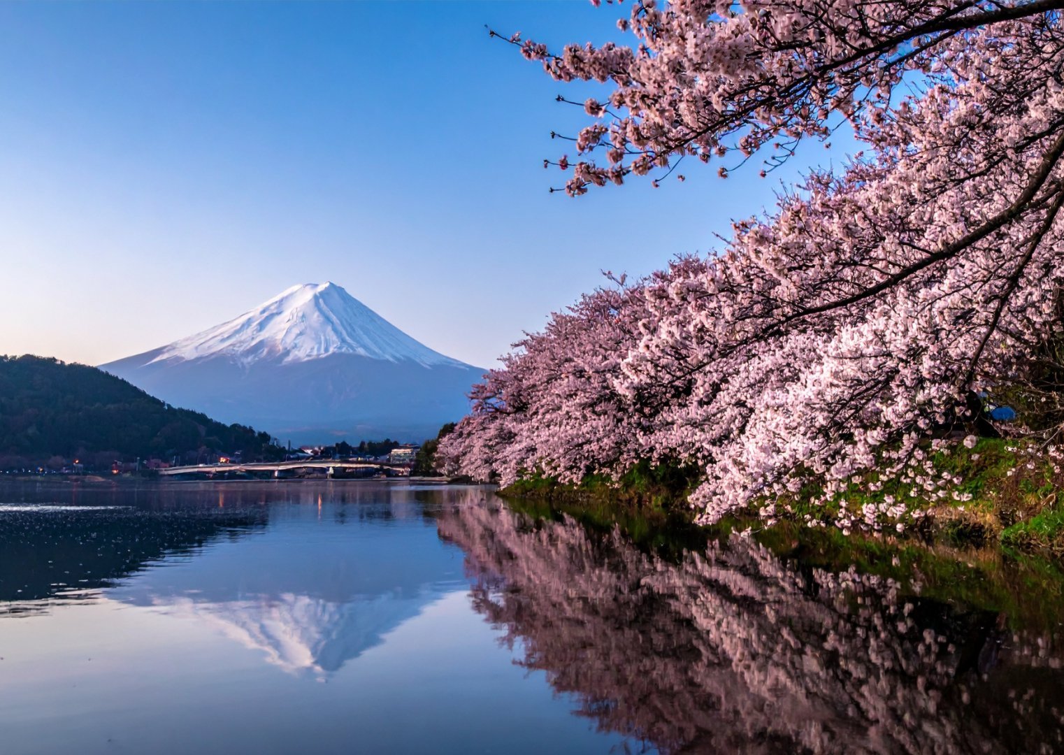 Tokyo + Mt.Fuji + Osaka, Japan