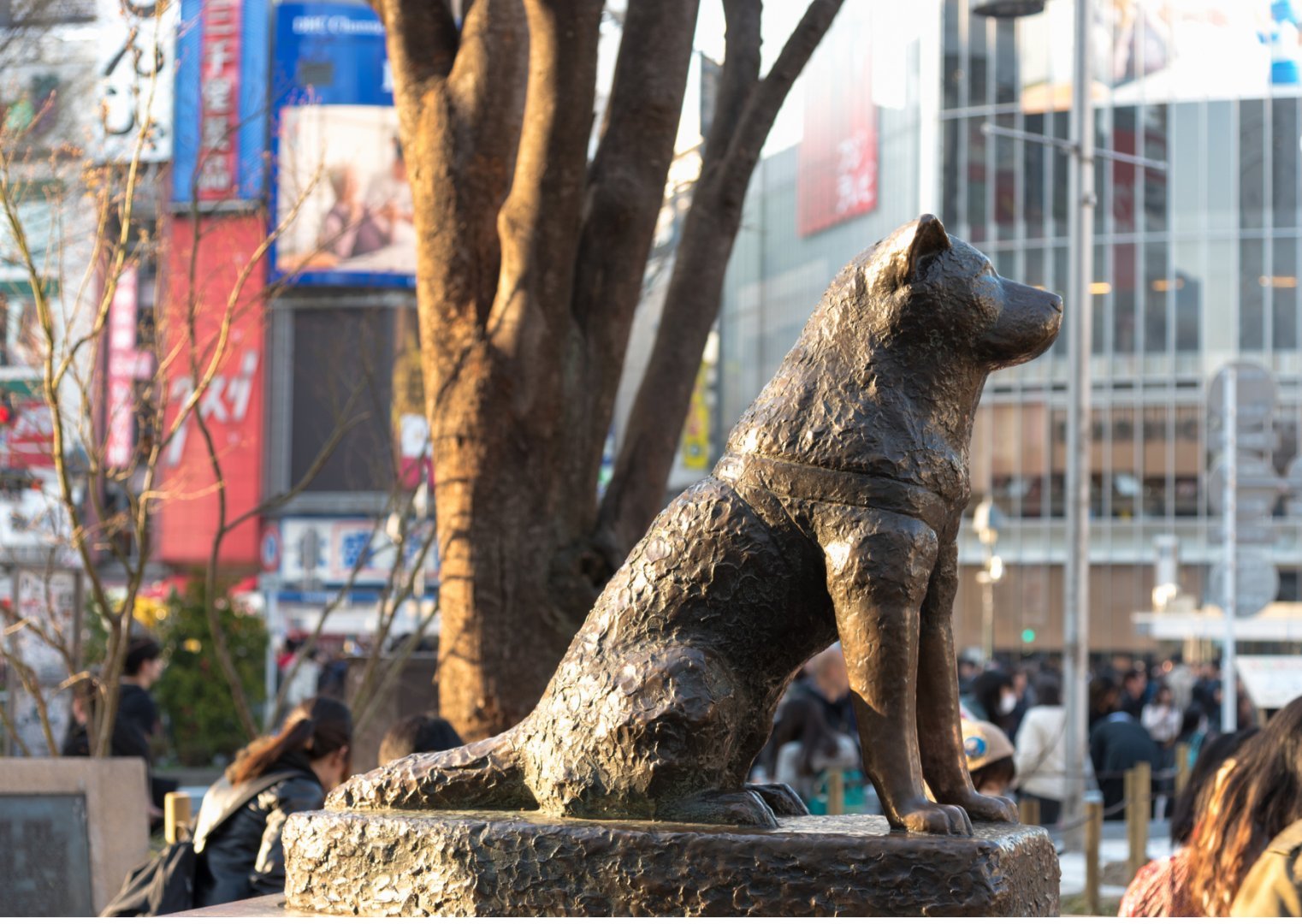 Tokyo + Mt.Fuji + Osaka, Japan