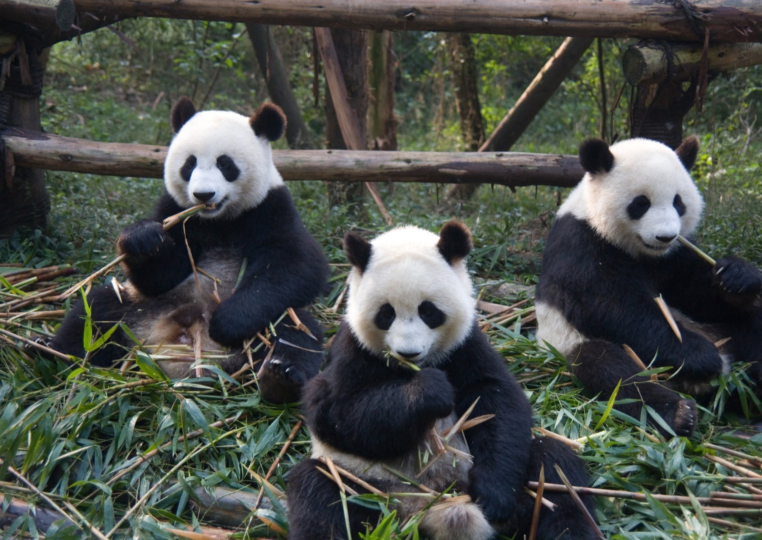 Beijing + Universal Studios , China