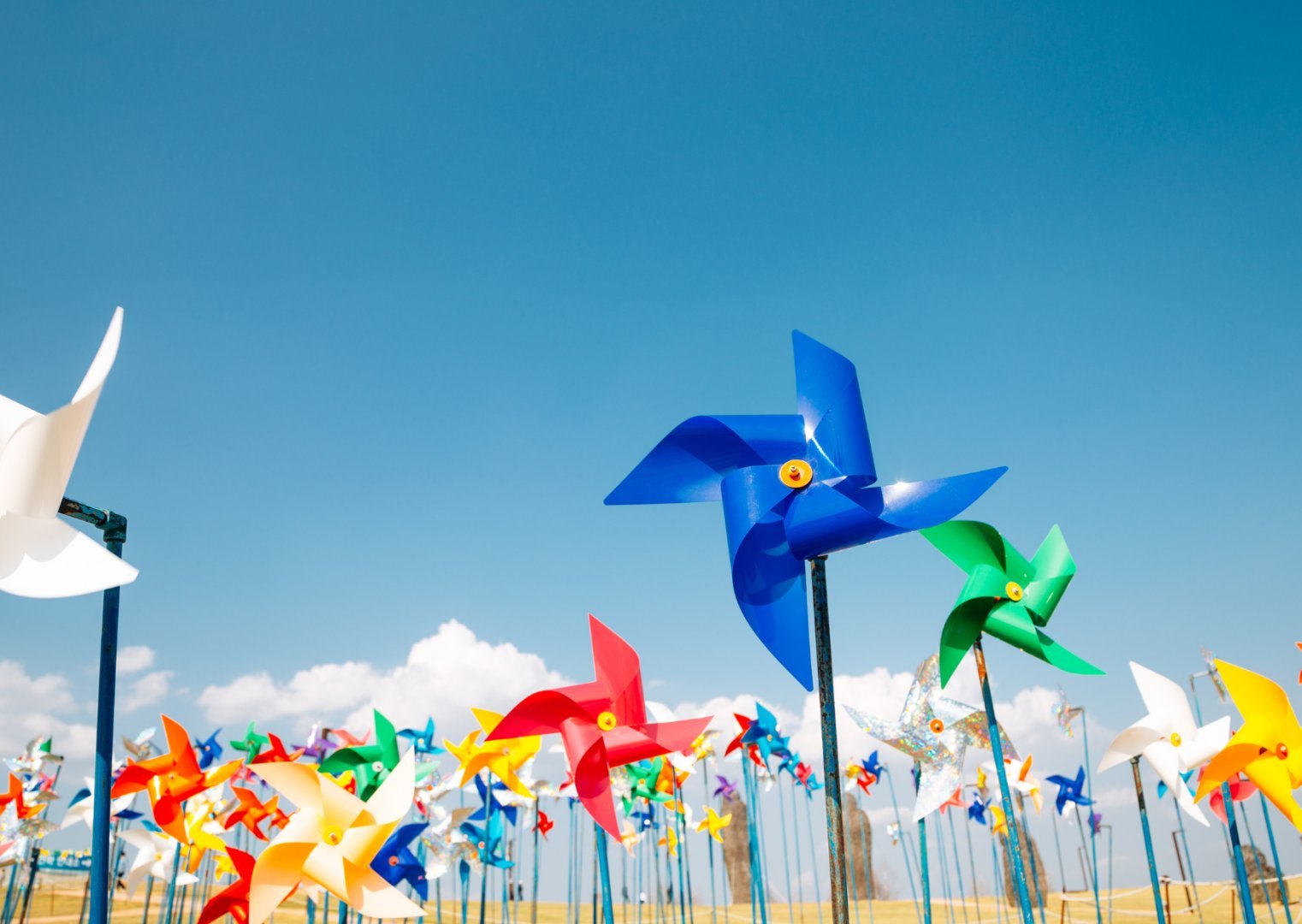 Incheon + Paju + Seoul , Korea