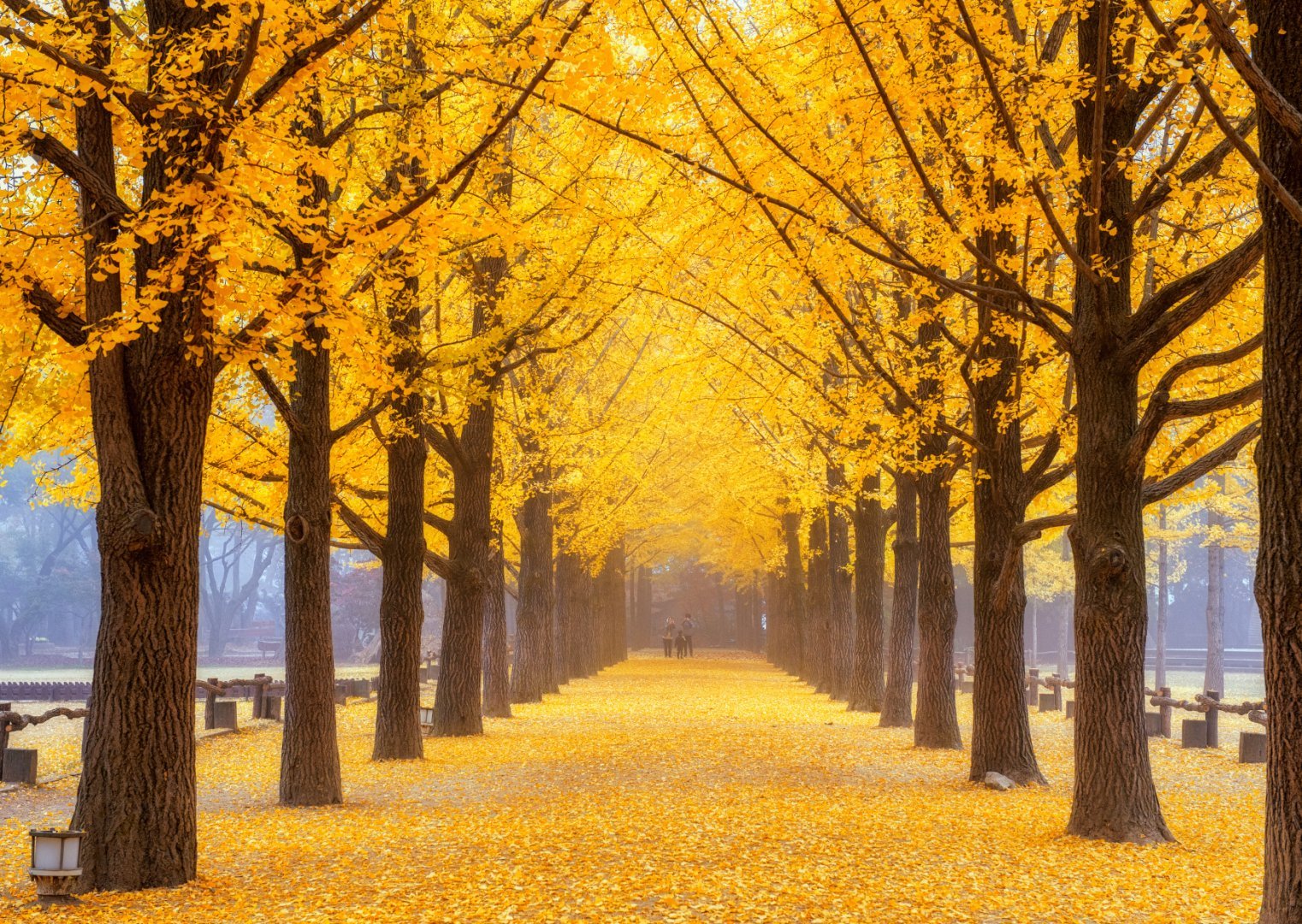 Incheon + Paju + Seoul , Korea